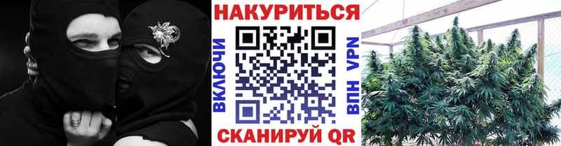 Наркошоп купить Бошки Шишки  Амфетамин  Меф  А ПВП  Новоалтайск