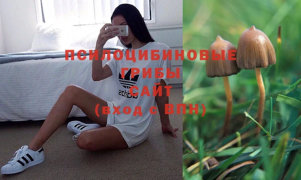 гашиш Вязьма